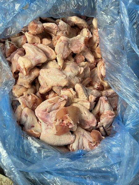 Bird Feed and Frozen Feed - Frozen Day Old Chicks 250/10kg Boxes