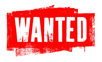 Falcons wanted - display work