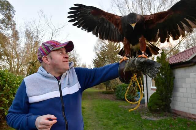 Hawks - WANTED unwanted birds prey WANTED