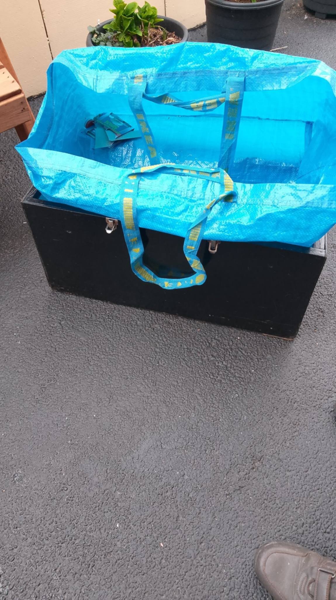 Canaries - Gloster show boxes plus carrying box