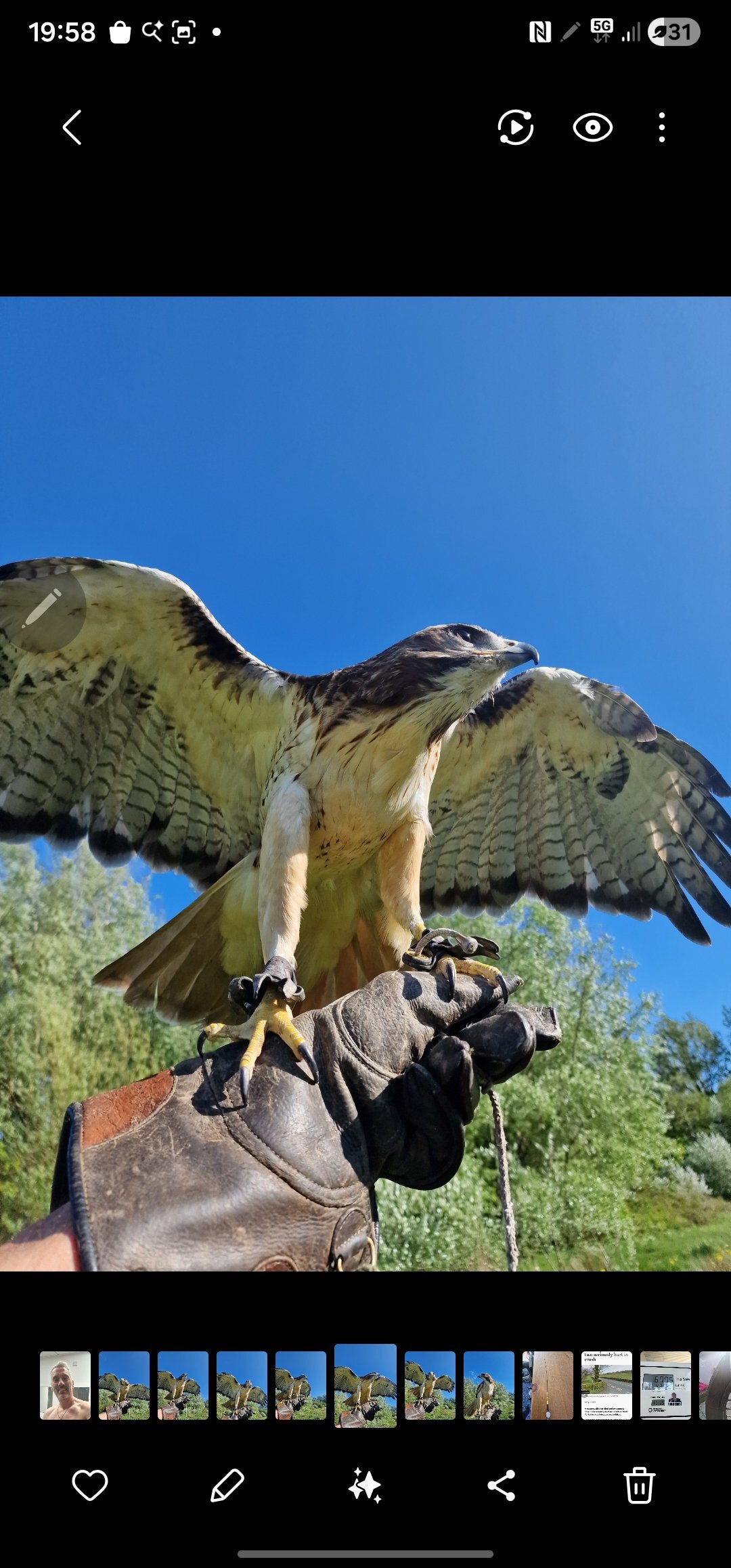 Buzzards - {TYPE}