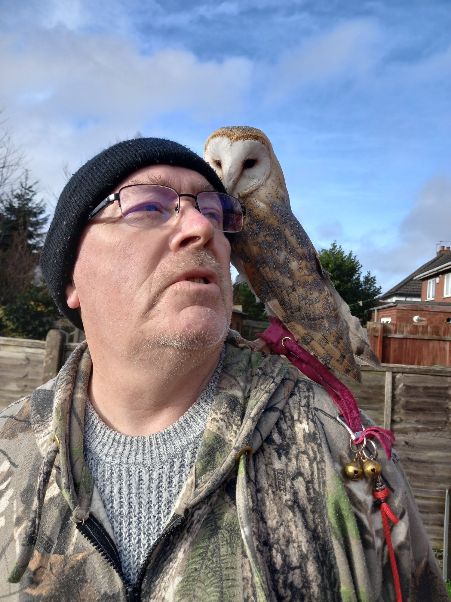 Owls