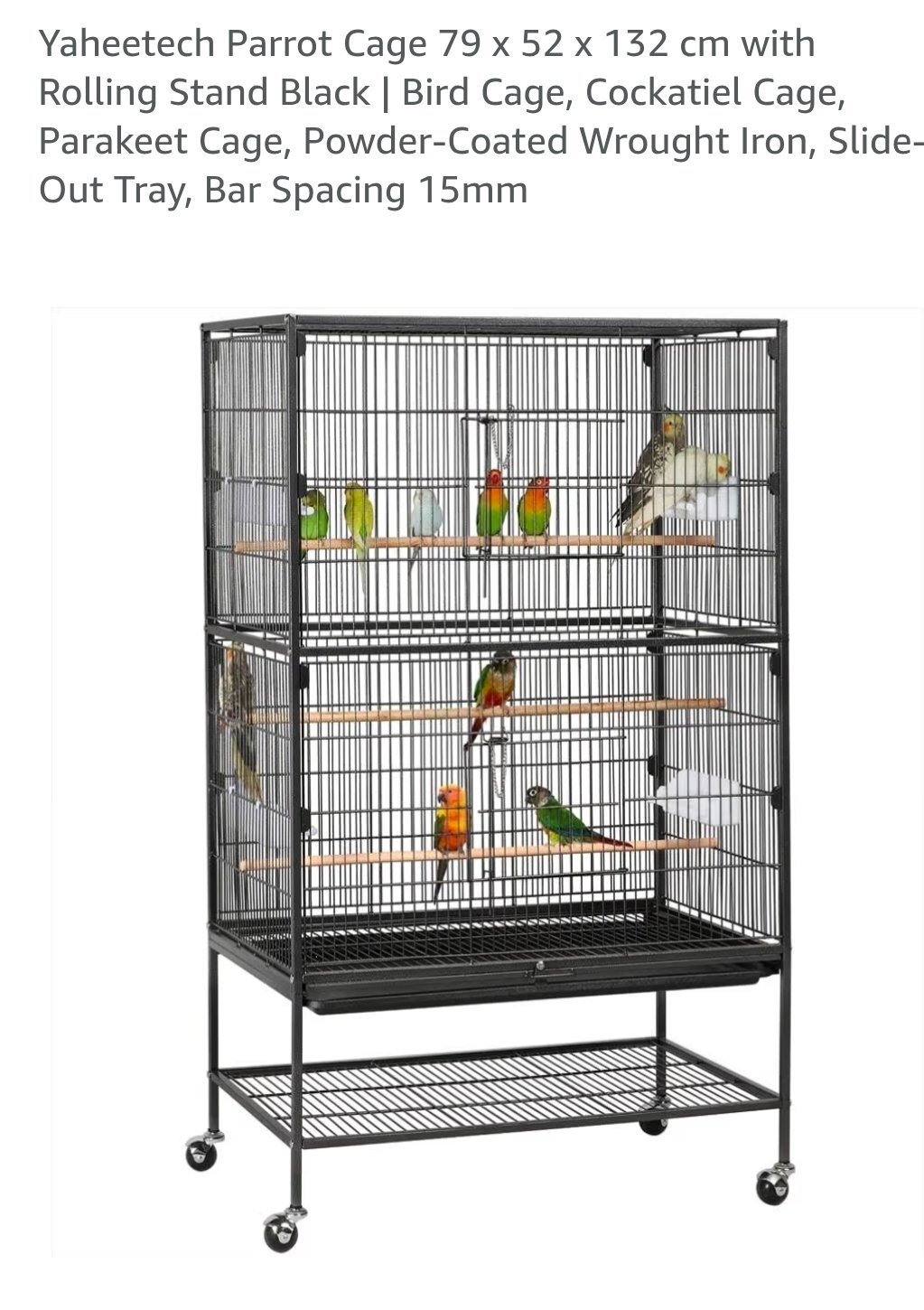 Other Parrots - Beautiful hand reared Tame Indian Ring neck Parrot