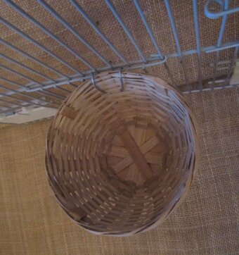 12 x wicker canary nest pans
