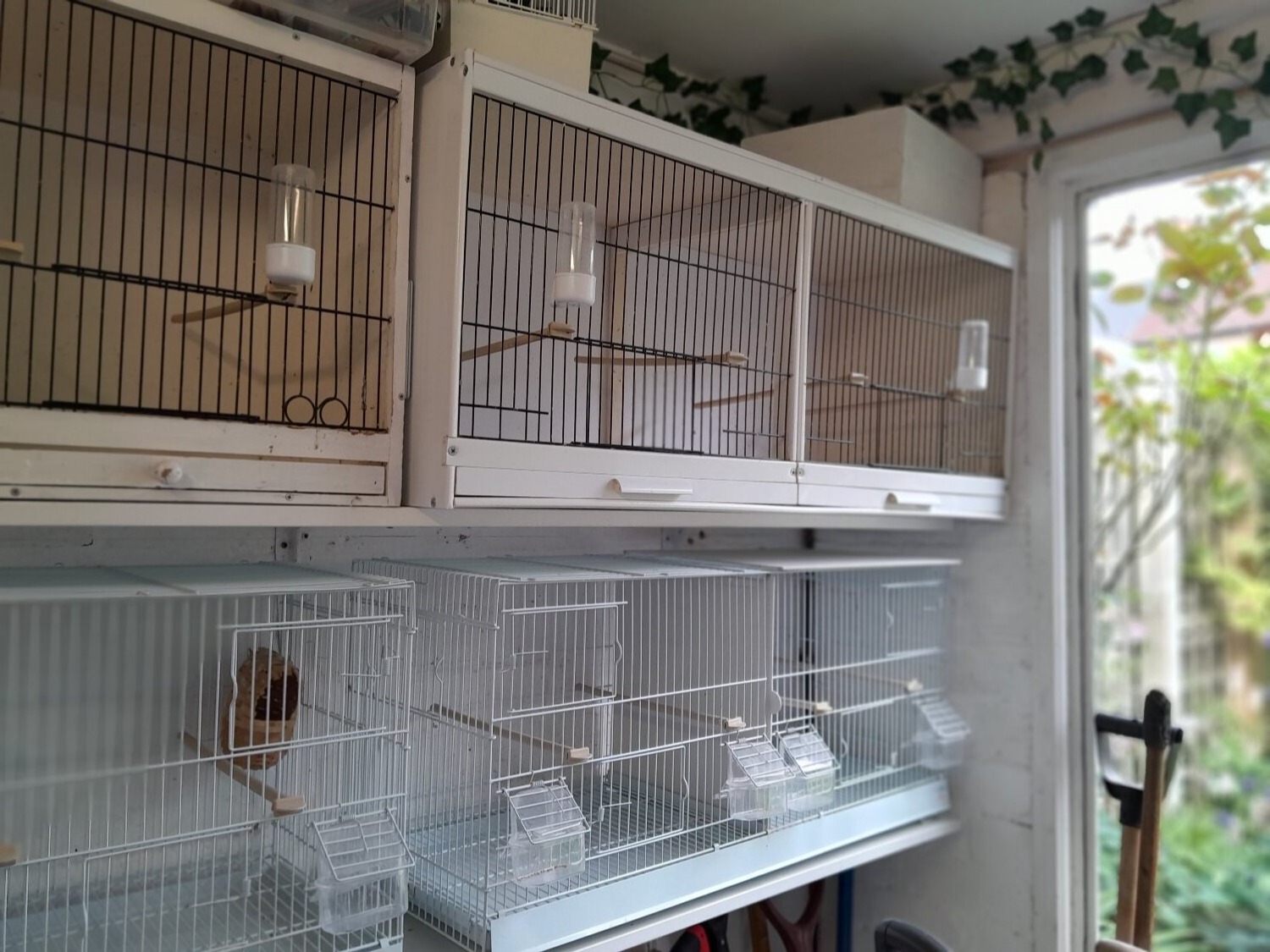Cages