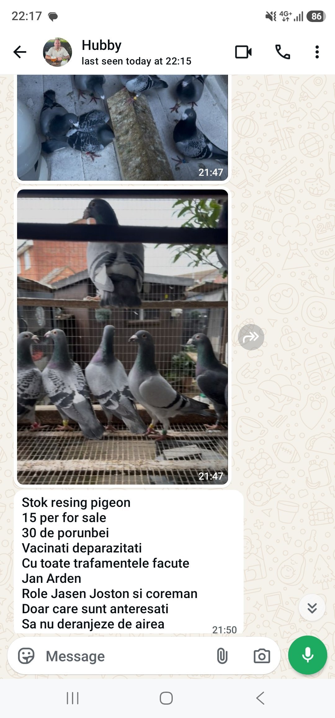 Pigeons