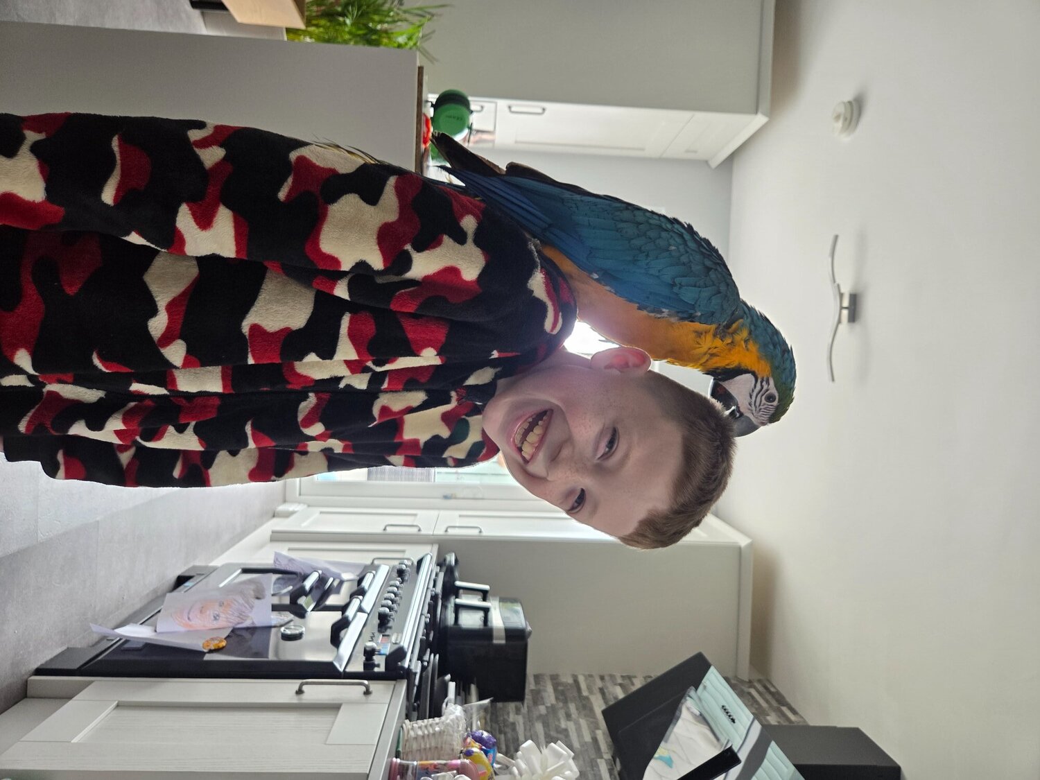Macaws - {TYPE}