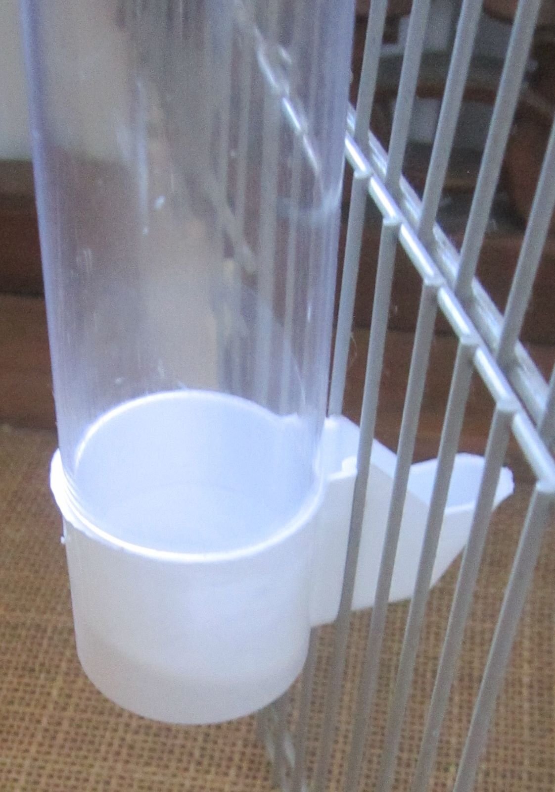 Drinkers and Feeders - {TYPE}