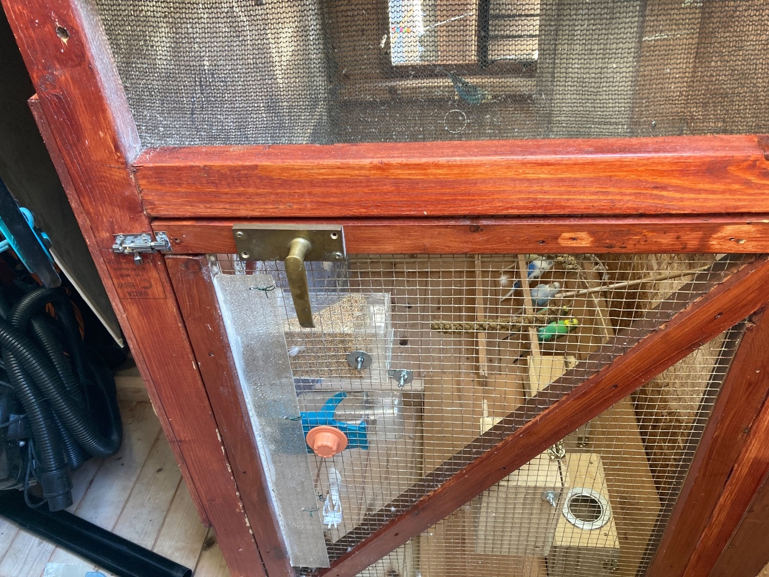 Five pair mixed colours, 1-2 years old, Genuine reason for sale, - Budgerigars